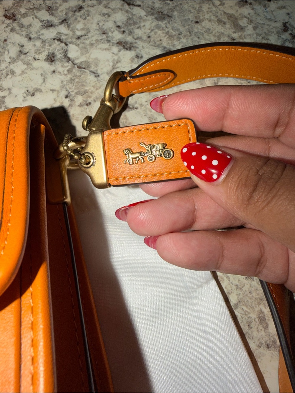Coach Hero Crossbody Bag in Orange with Gold Hardware - Picture 10 of 13